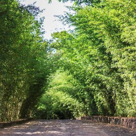 Pousada Bosque Do Lapao Lencois Ngoại thất bức ảnh